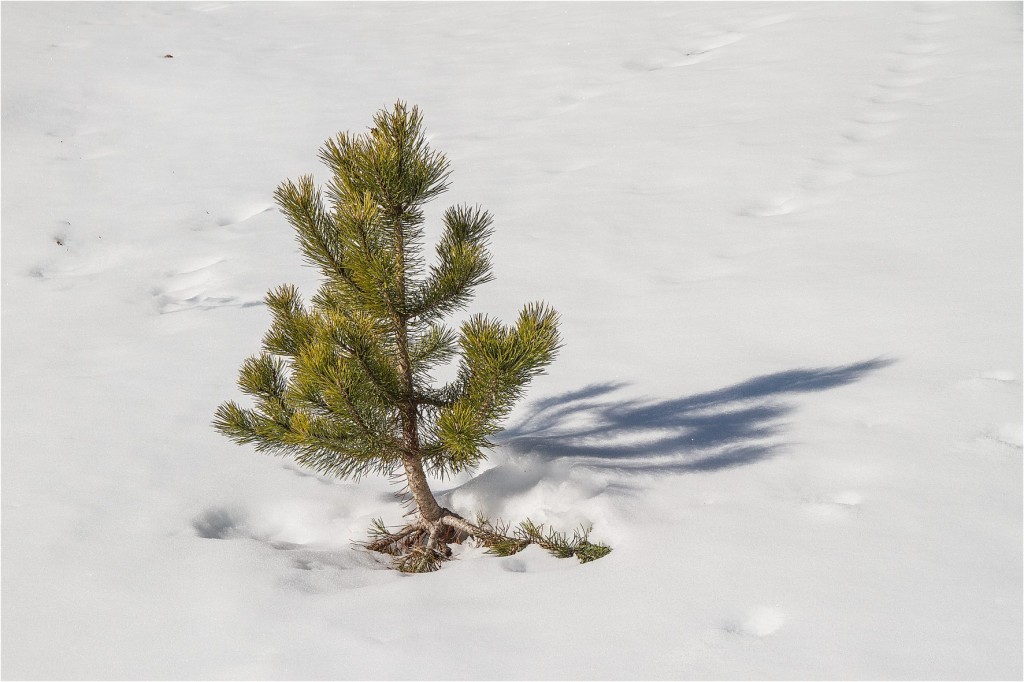 Foto de Benasque (Huesca), España
