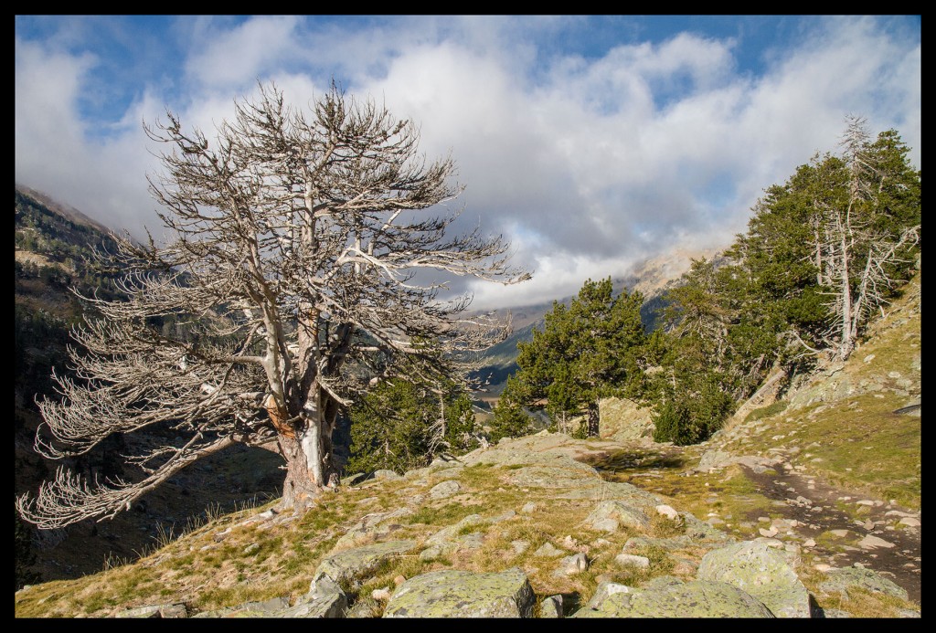 Foto de Benasque (Huesca), España