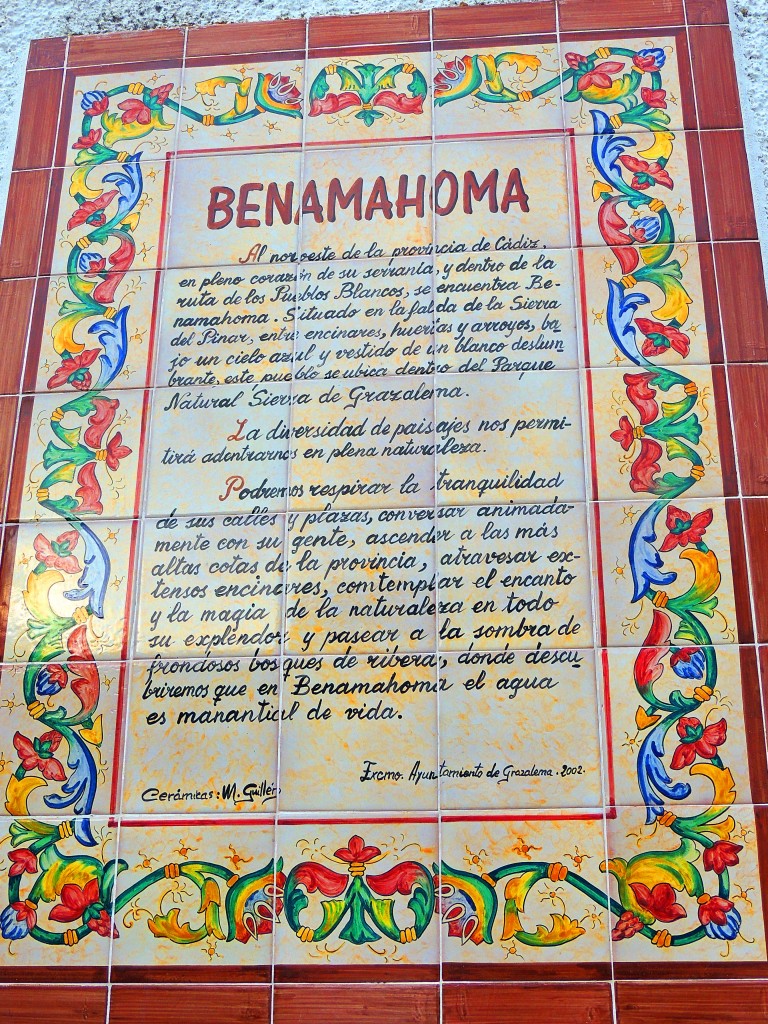 Foto de Benamahoma (Cádiz), España