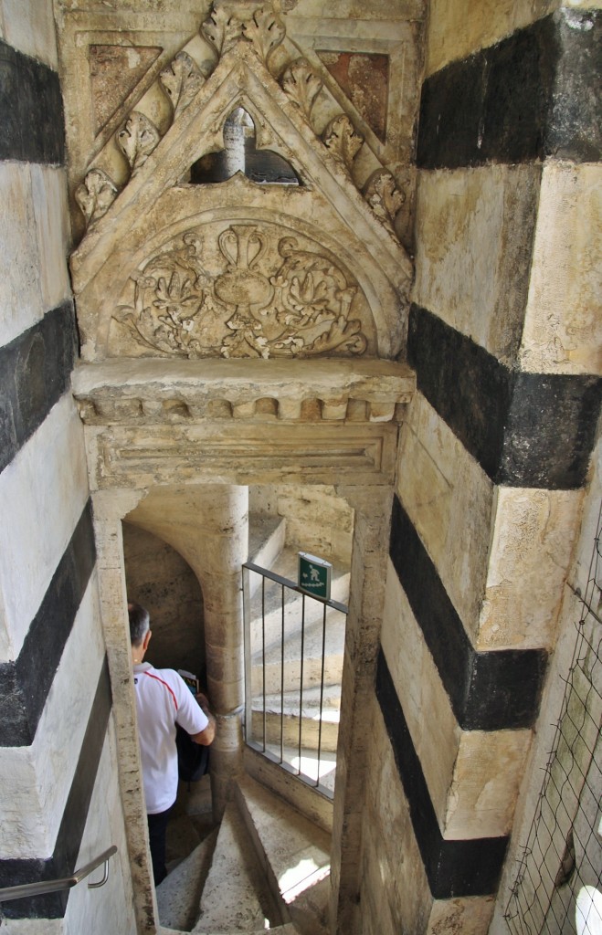Foto: Vistas desde el techo de la catedral - Siena (Tuscany), Italia