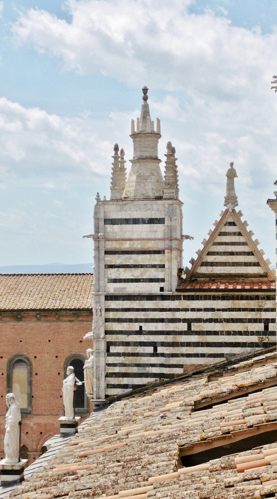 Foto: Vistas desde el techo de la catedral - Siena (Tuscany), Italia