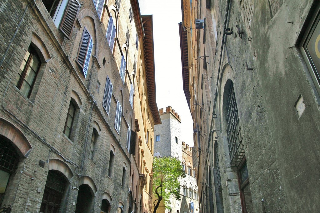 Foto: Centro histórico - Siena (Tuscany), Italia