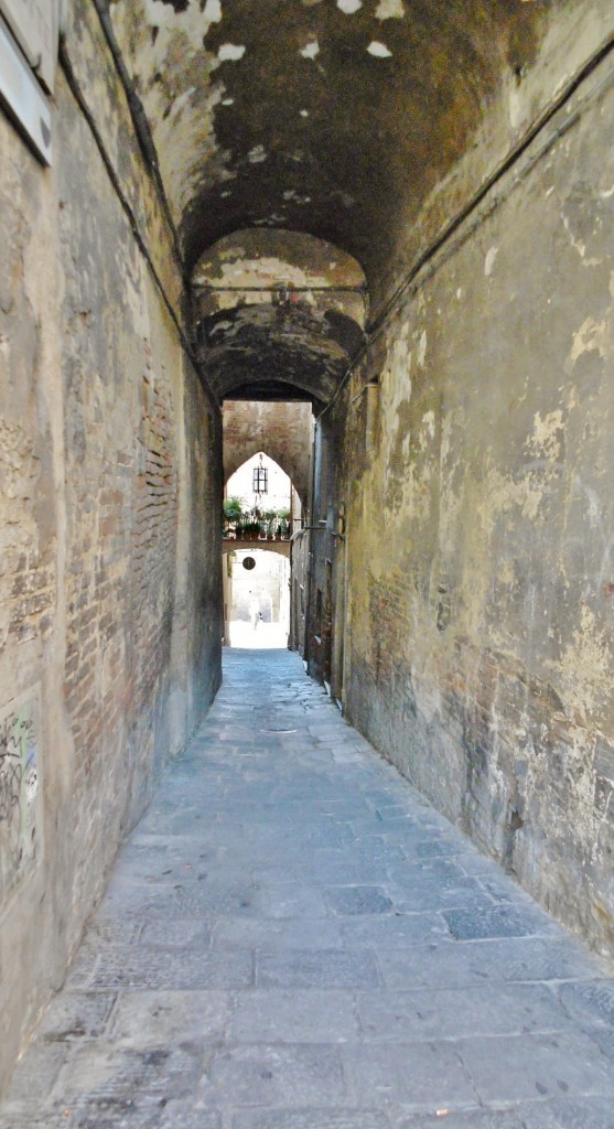 Foto: Centro histórico - Siena (Tuscany), Italia