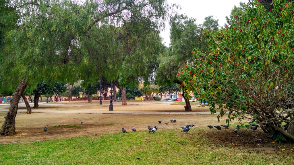 Foto de San Fernando (Cádiz), España