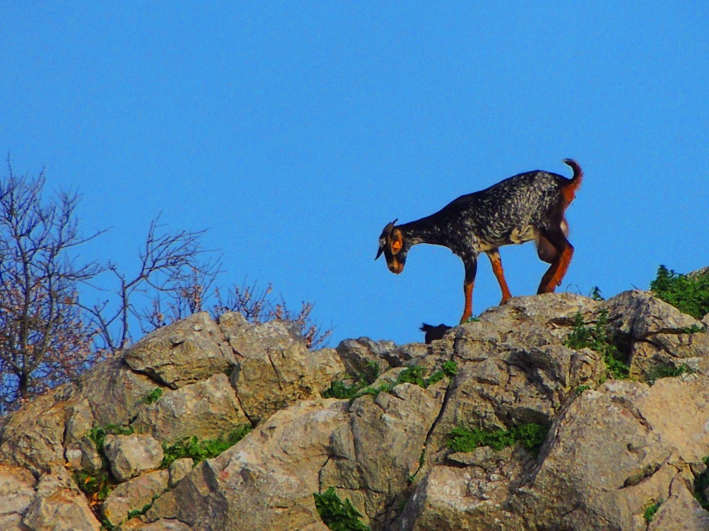 Foto de Villaluenga del Rosario (Cádiz), España