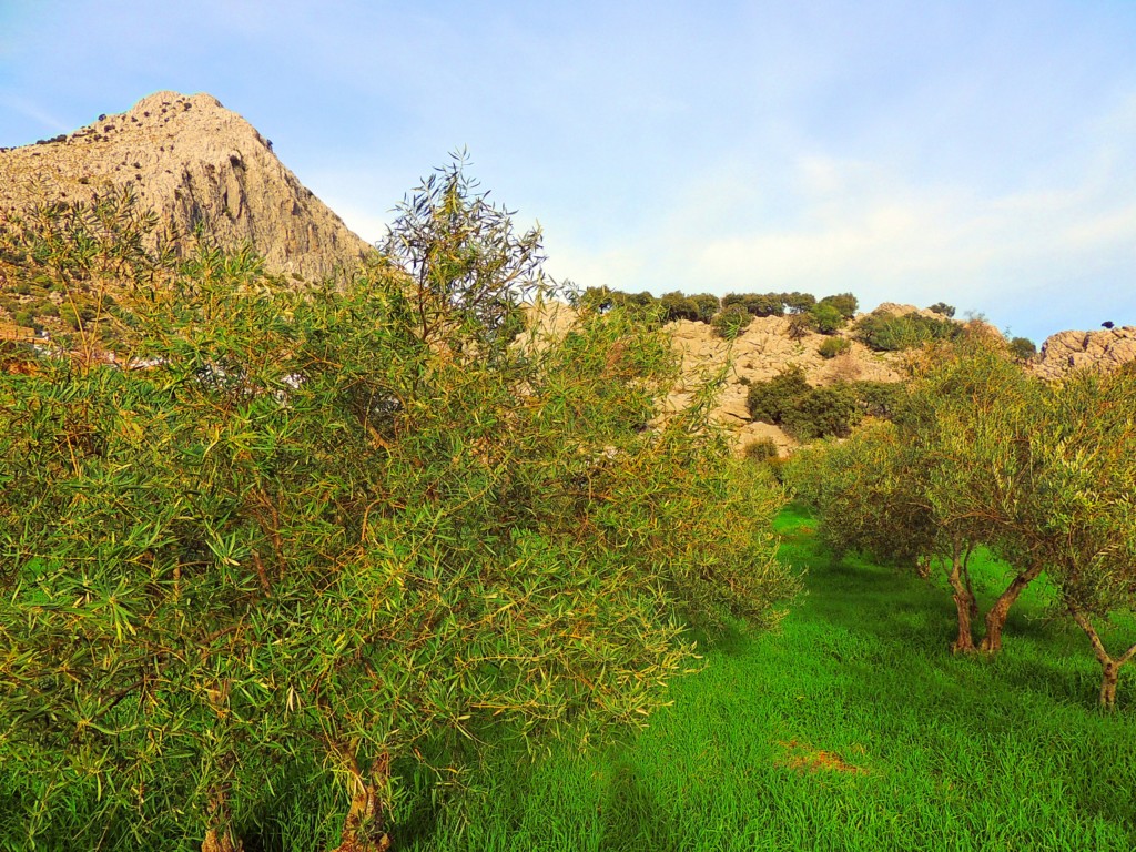 Foto de Villaluenga del Rosario (Cádiz), España