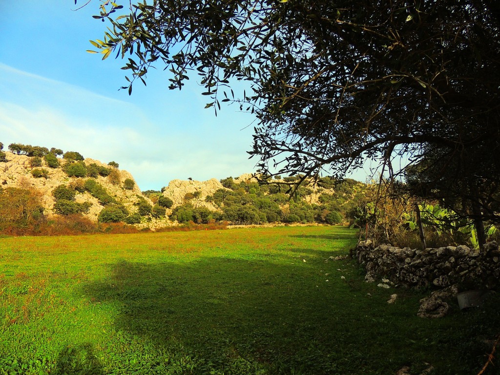 Foto de Villaluenga del Rosario (Cádiz), España