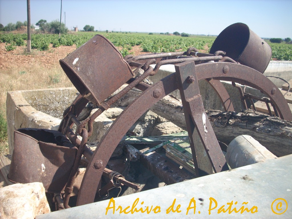 Foto: Andaraje - Miguel Esteban (Toledo), España