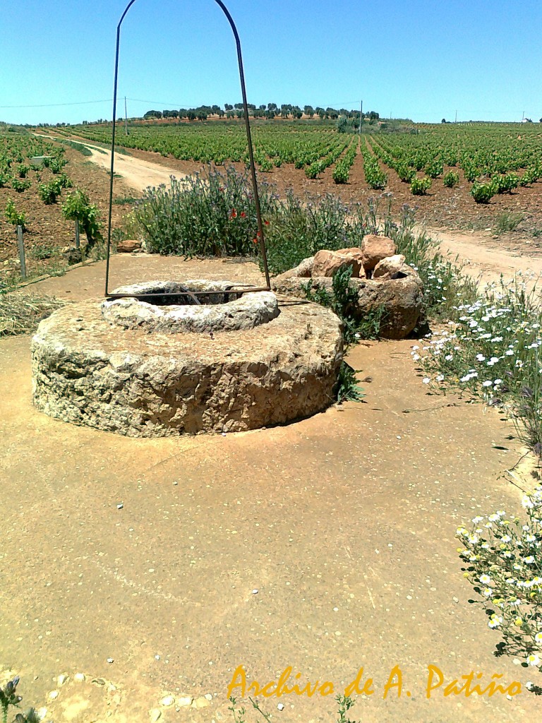 Foto: Pozo del Moro - Miguel Esteban (Toledo), España