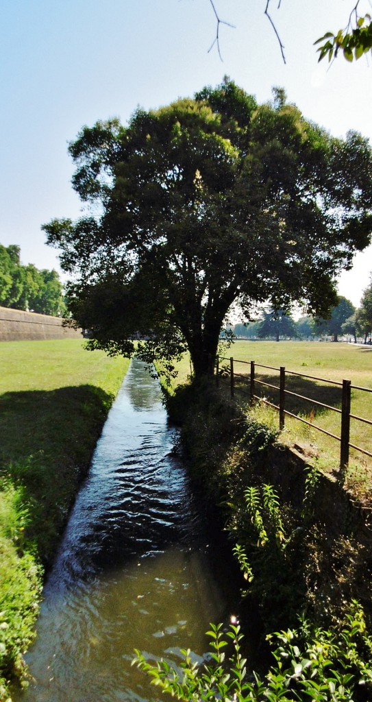 Foto: Muarallas - Lucca (Tuscany), Italia