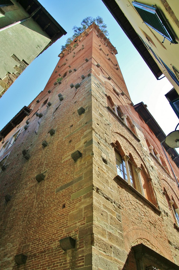 Foto: Torre Guinigi - Lucca (Tuscany), Italia