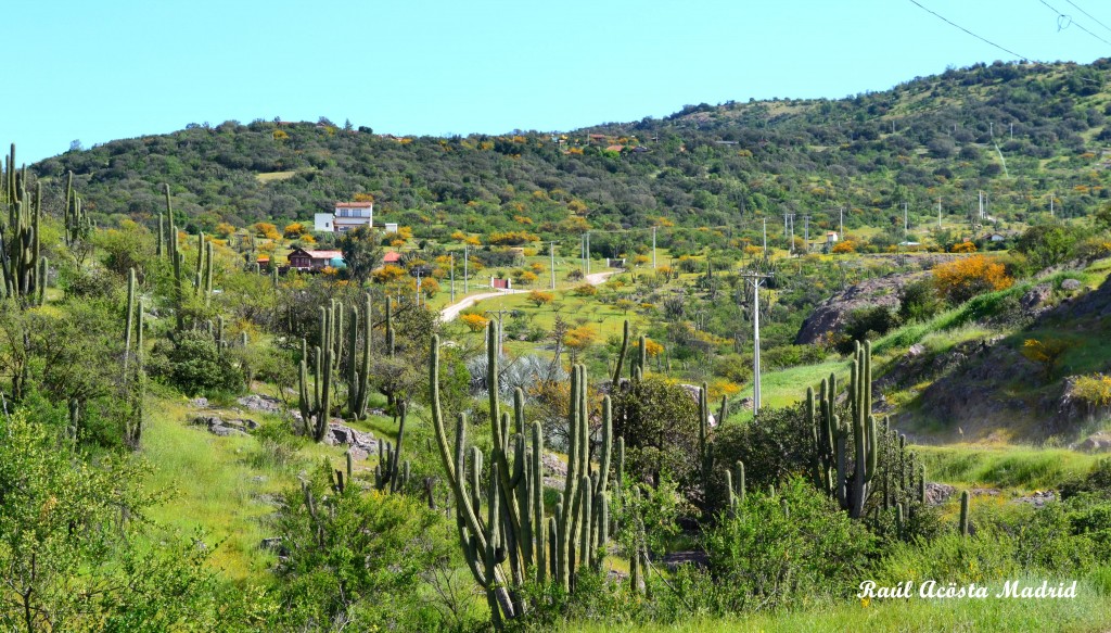 Foto de Coinco (Libertador General Bernardo OʼHiggins), Chile