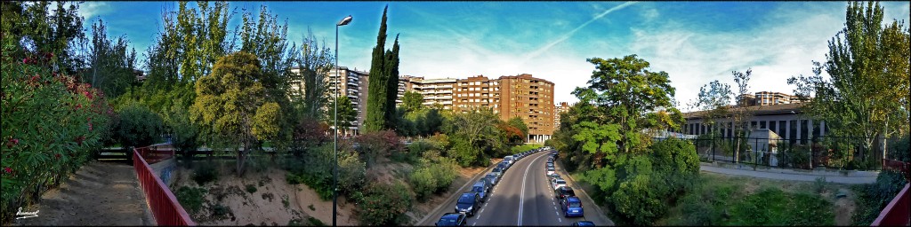 Foto: 161018-07 PARQUE MIRAFLORES - Zaragoza (Aragón), España