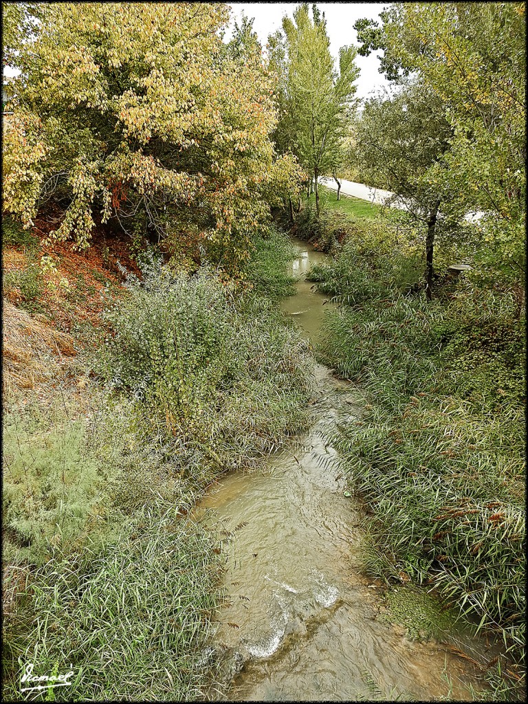 Foto: 161023-084 MUEL - Muel (Zaragoza), España