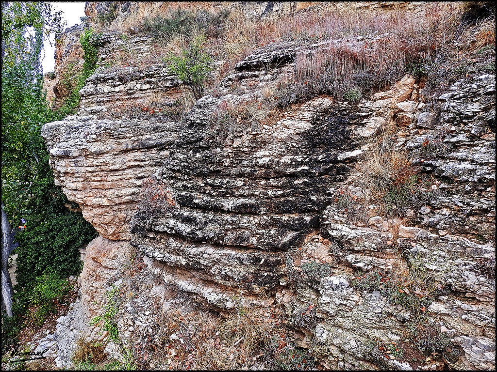 Foto: 161023-102 MUEL - Muel (Zaragoza), España