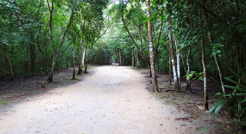 Foto: Zona Arqueológica de Cobá - Cobá (Quintana Roo), México