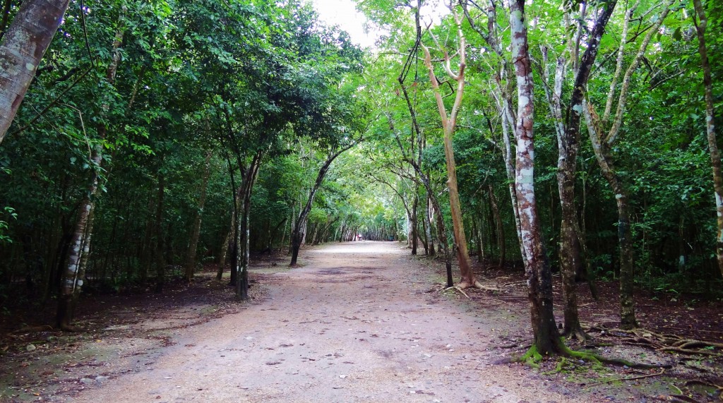 Foto: Zona Arqueológica de Cobá - Cobá (Quintana Roo), México