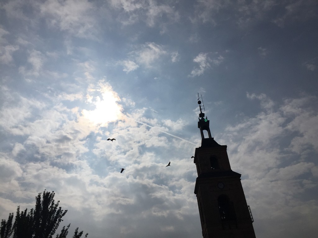 Foto: Cigüeñas volando junto al campanario - Madrid (Comunidad de Madrid), España