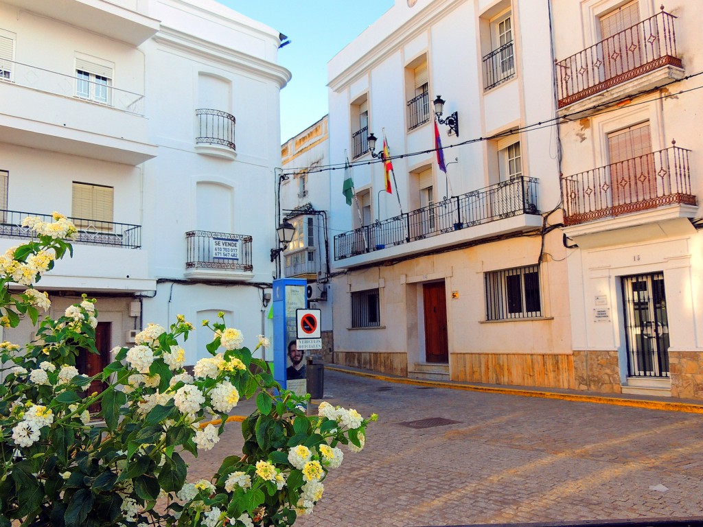 Foto de Alcalá de los Gazules (Cádiz), España