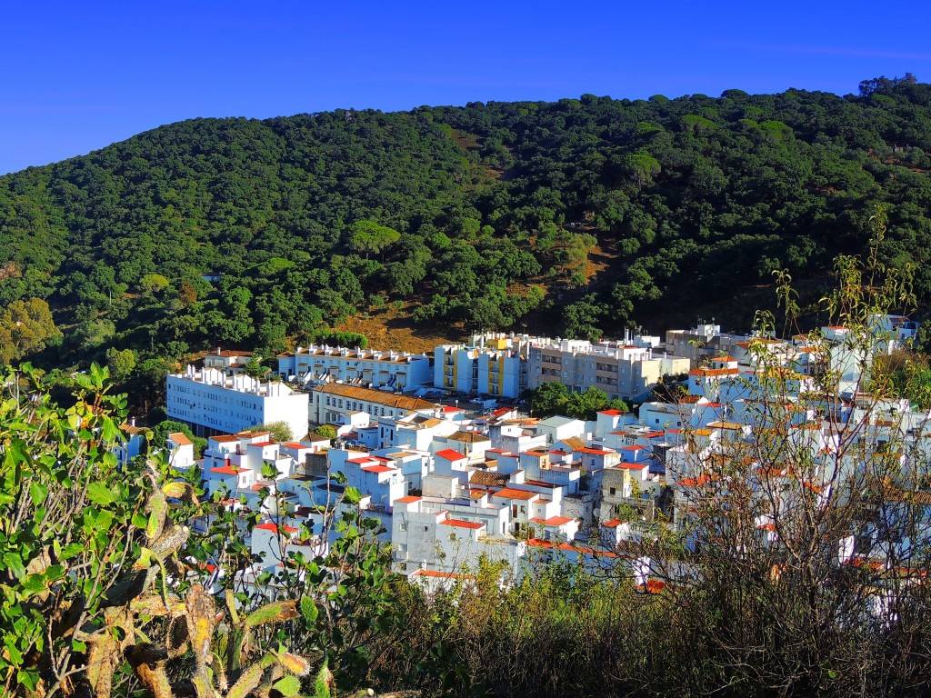 Foto de Alcalá de los Gazules (Cádiz), España