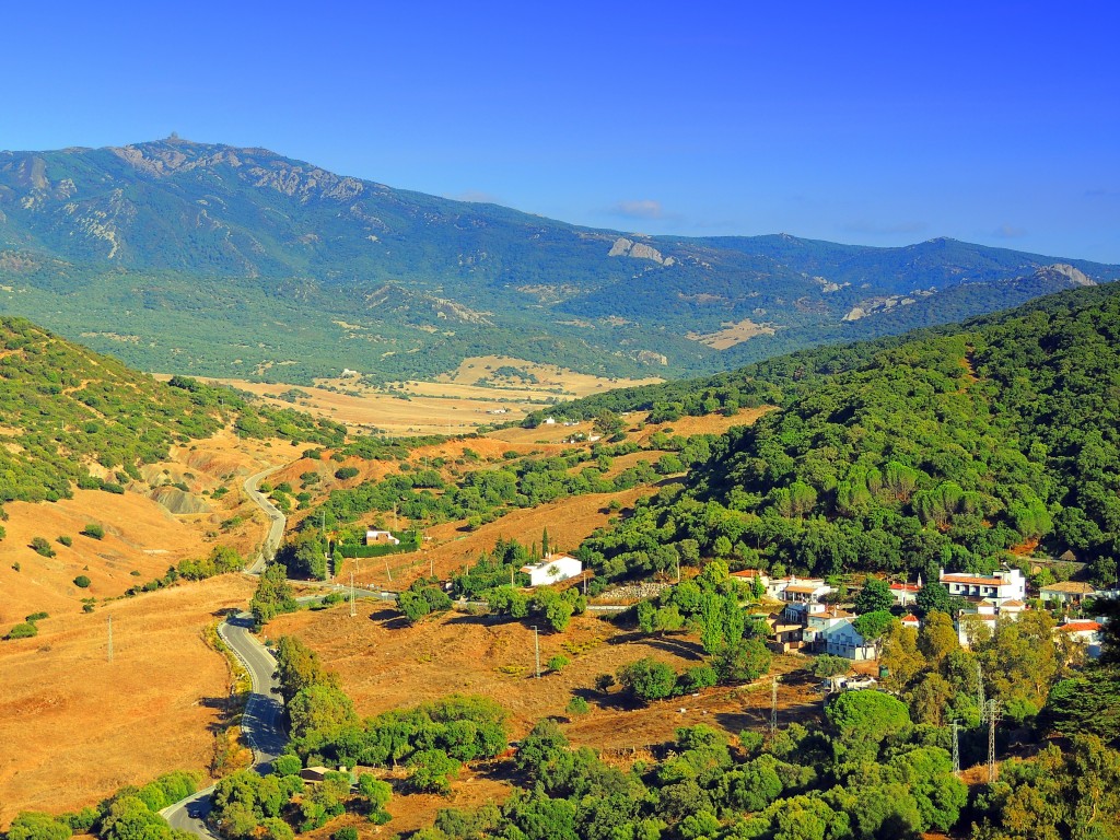 Foto de Alcalá de los Gazules (Cádiz), España