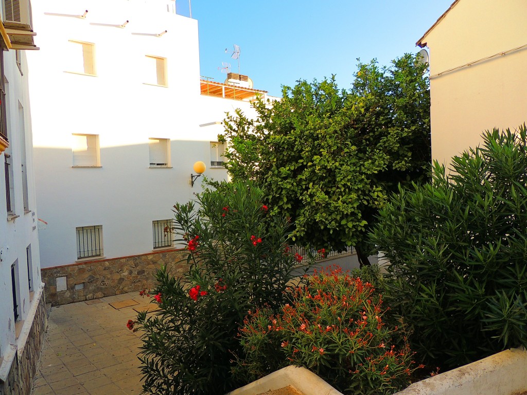Foto de Alcalá de los Gazules (Cádiz), España