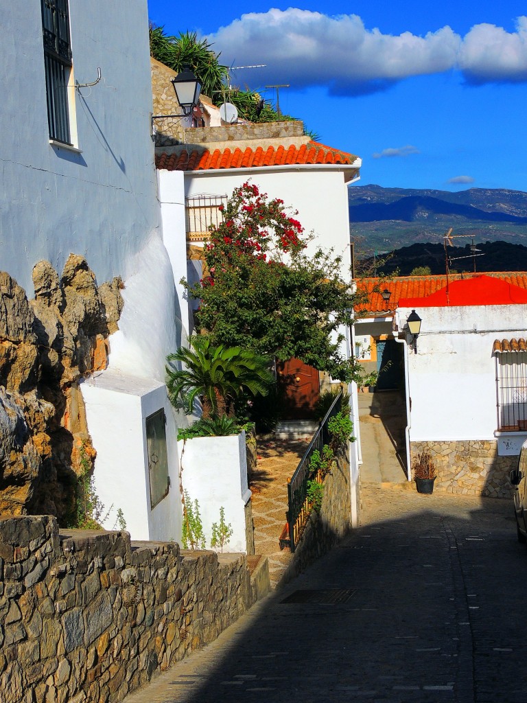 Foto de Alcalá de los Gazules (Cádiz), España