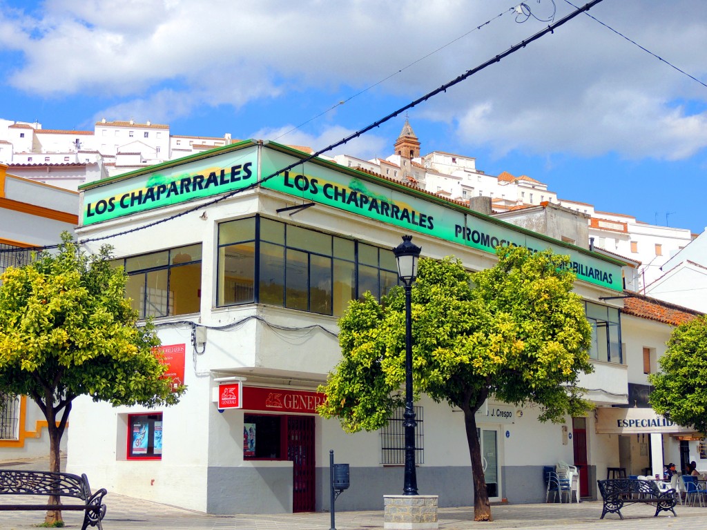 Foto: Los Chaparrales - Alcalá de los Gazules (Cádiz), España