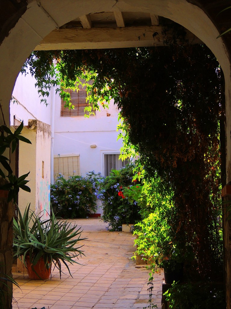 Foto de Alcalá de los Gazules (Cádiz), España