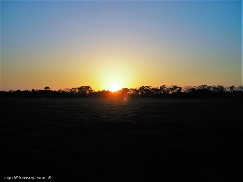 Foto: Sunset in the savannah - Guanarito (Portuguesa), Venezuela