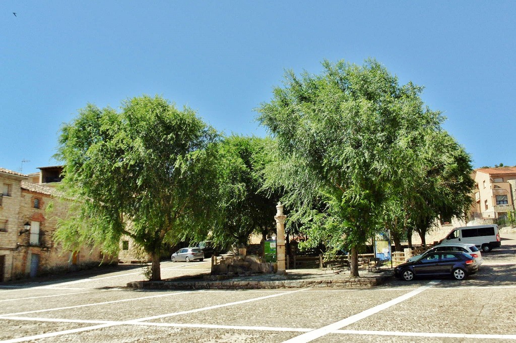 Foto: Recinto amurallado - Palazuelos (Guadalajara), España