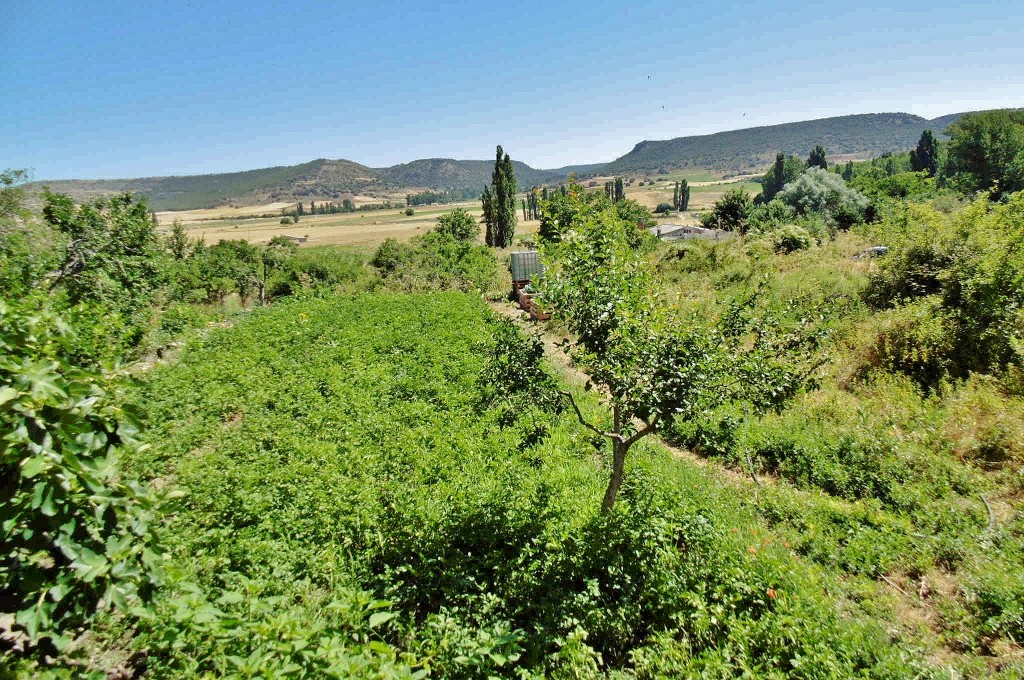Foto: Vistas - Palazuelos (Guadalajara), España