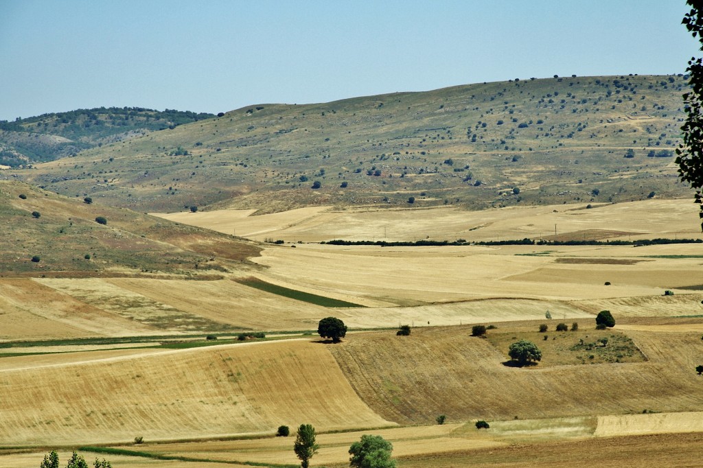 Foto: Paisaje - Carabias (Guadalajara), España