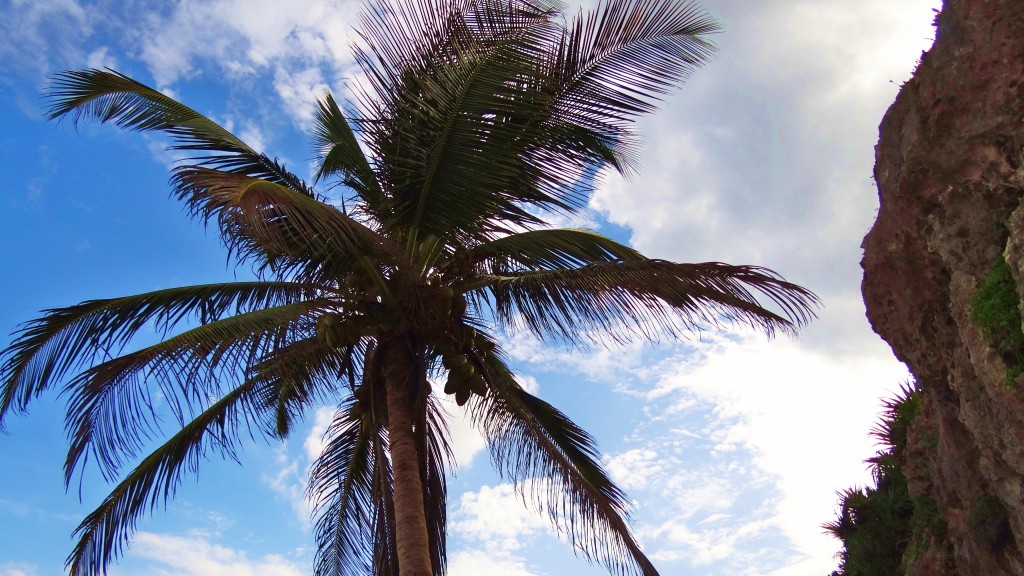 Foto: Playa de las Ruinas - Tulum (Quintana Roo), México