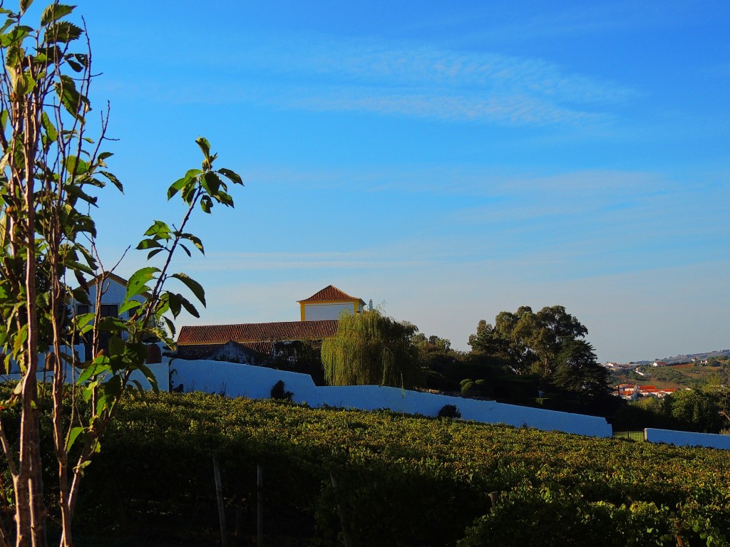 Foto de Bombarral (Leiria), Portugal