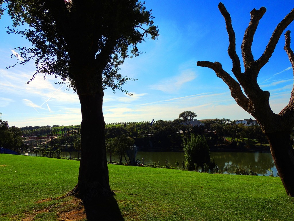 Foto de Bombarral (Leiria), Portugal