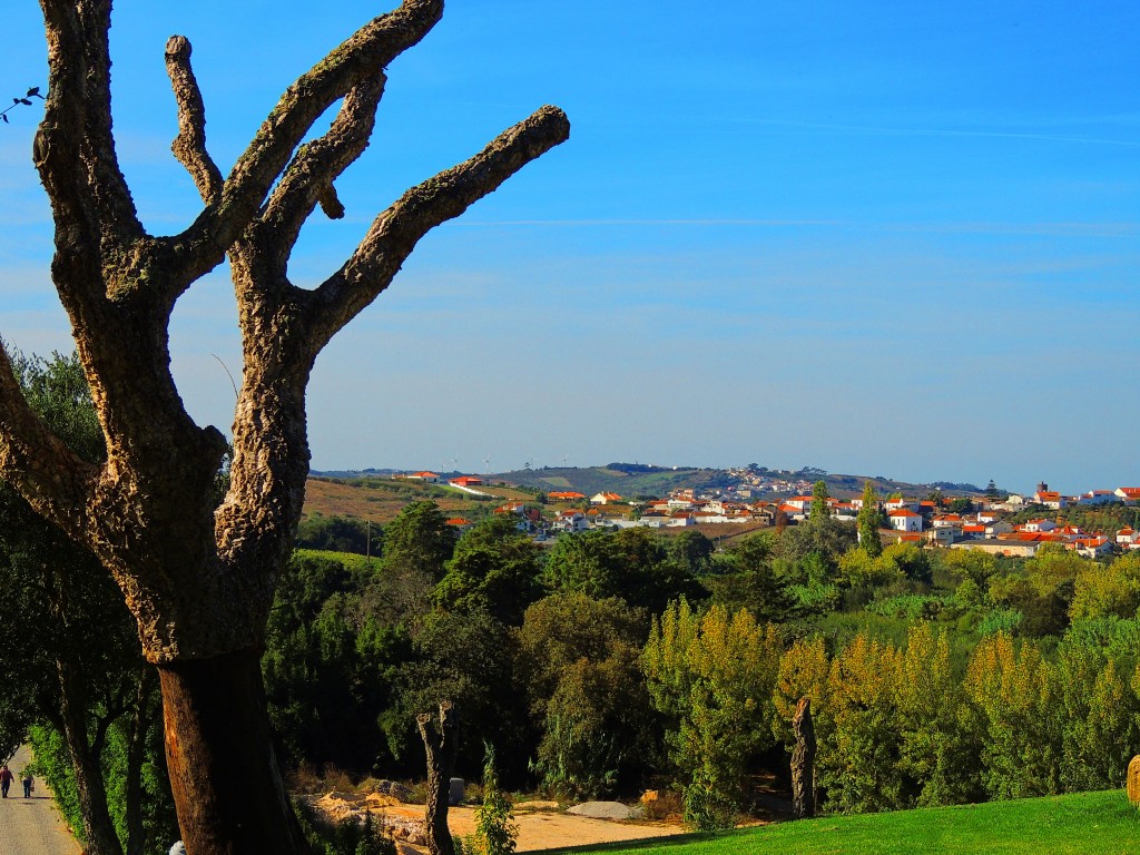 Foto de Bombarral (Leiria), Portugal