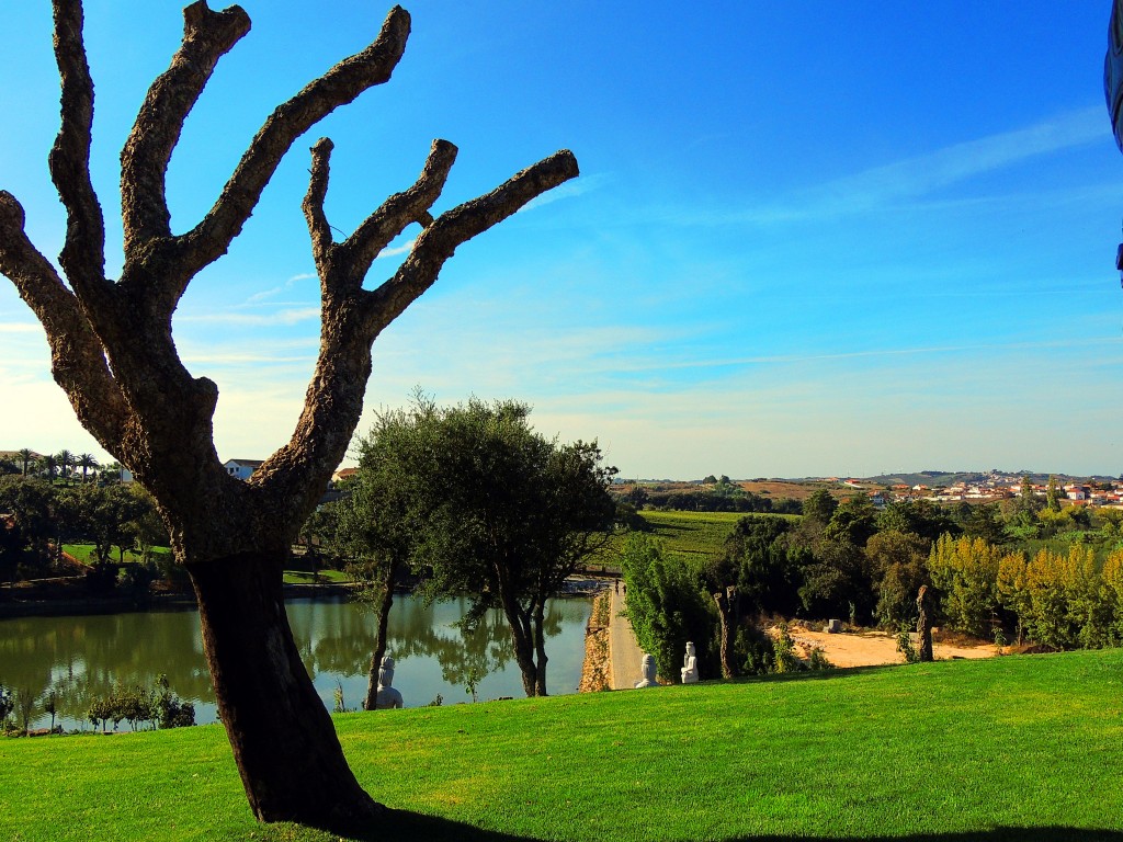 Foto de Bombarral (Leiria), Portugal