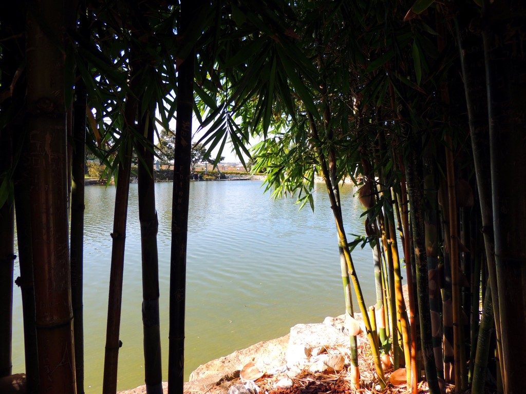 Foto de Bombarral (Leiria), Portugal