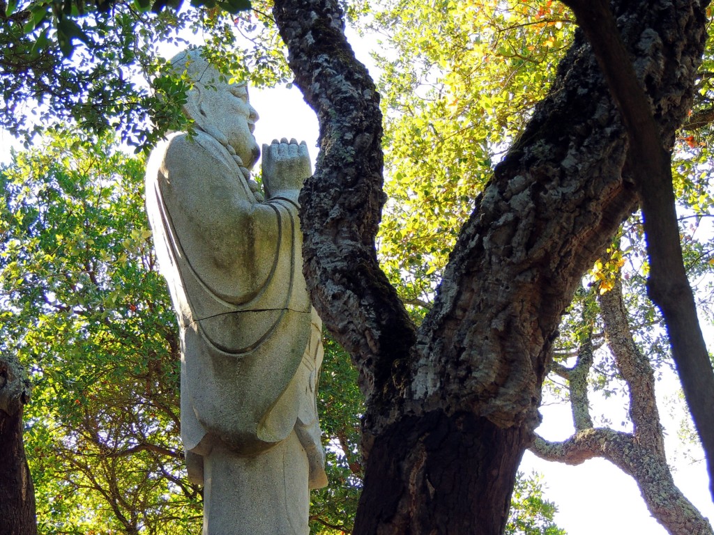 Foto de Bombarral (Leiria), Portugal
