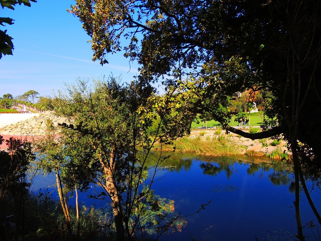 Foto de Bombarral (Leiria), Portugal