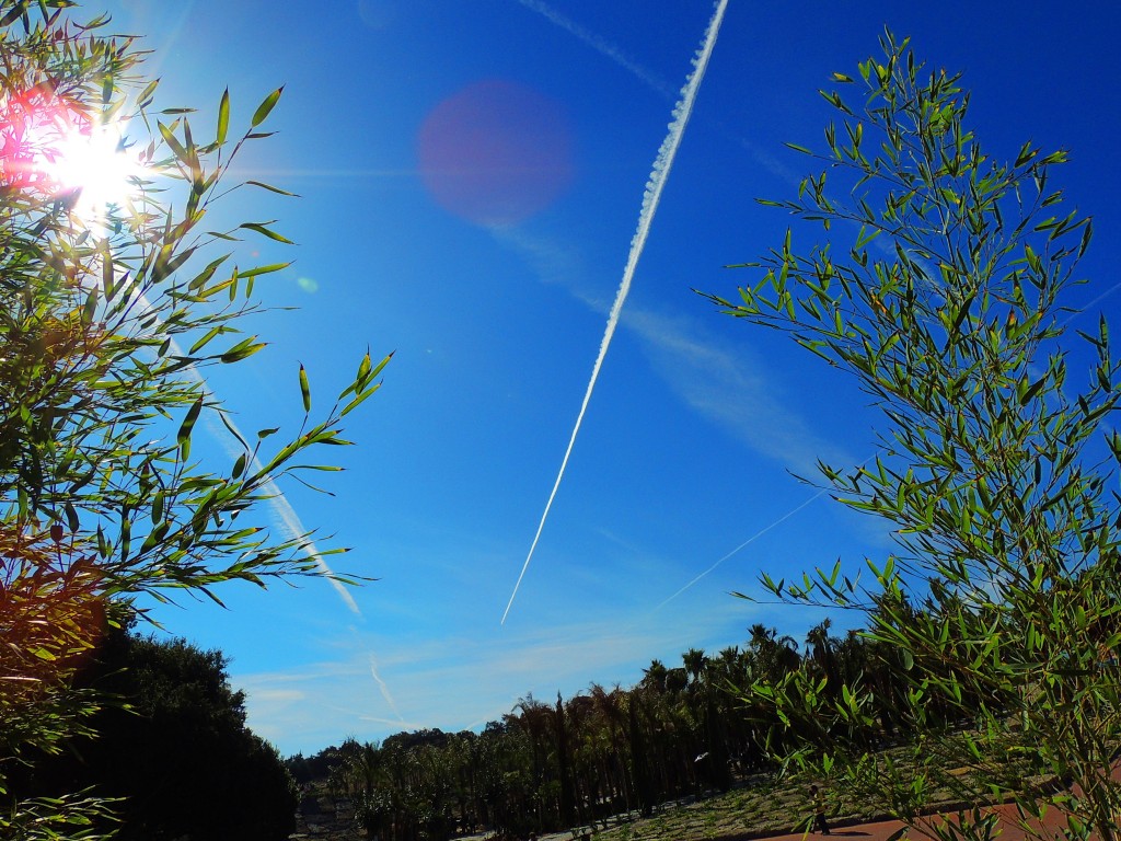 Foto de Bombarral (Leiria), Portugal