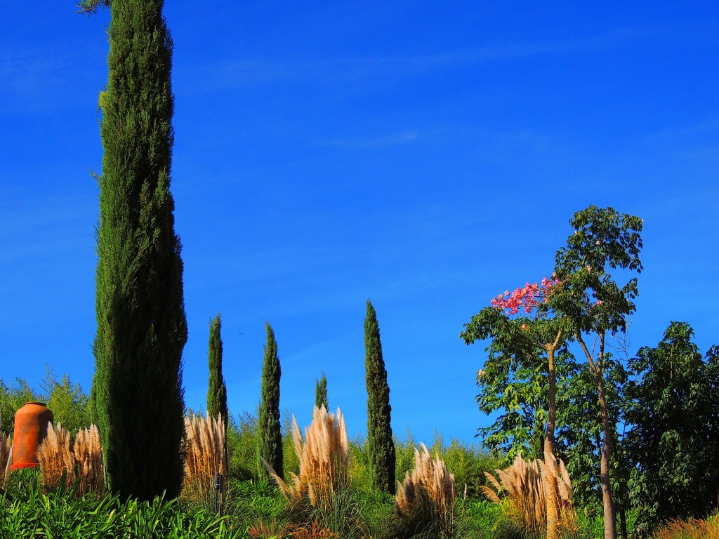 Foto de Bombarral (Leiria), Portugal