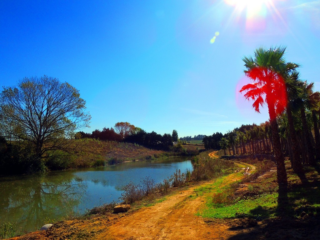 Foto de Bombarral (Leiria), Portugal