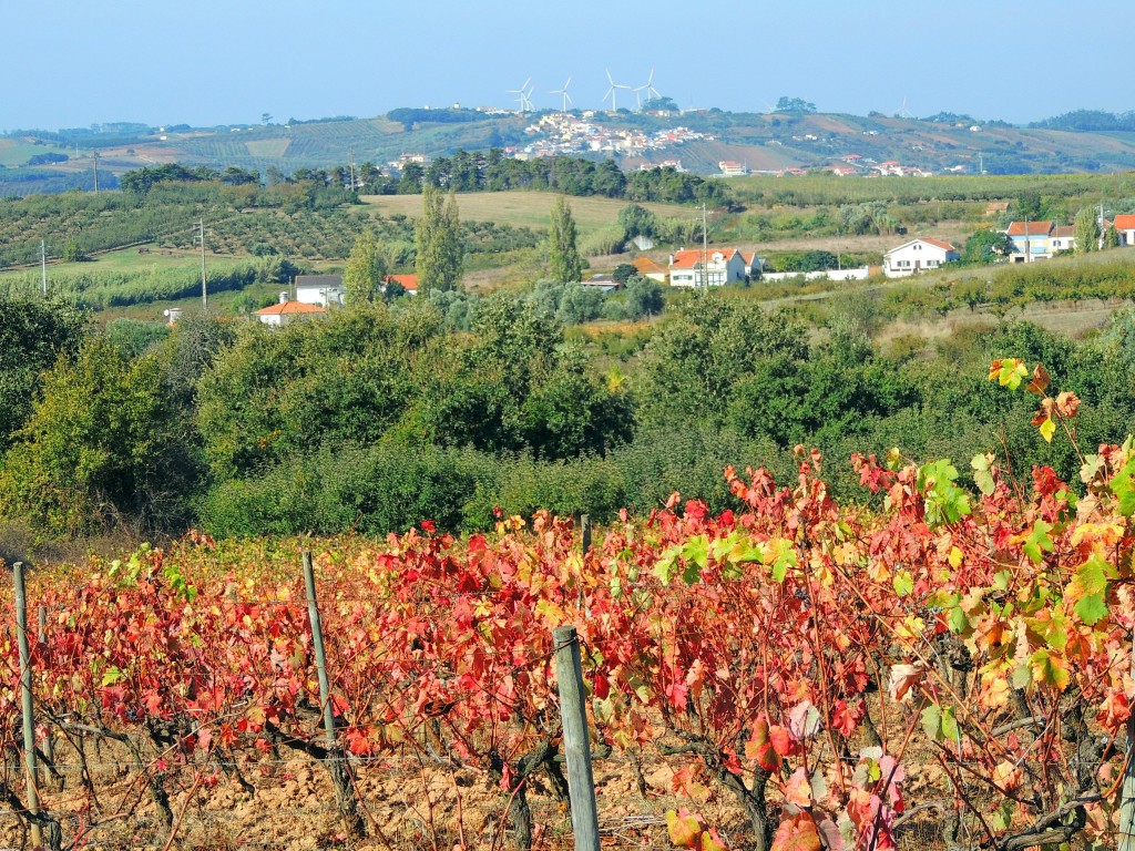 Foto de Bombarral (Leiria), Portugal