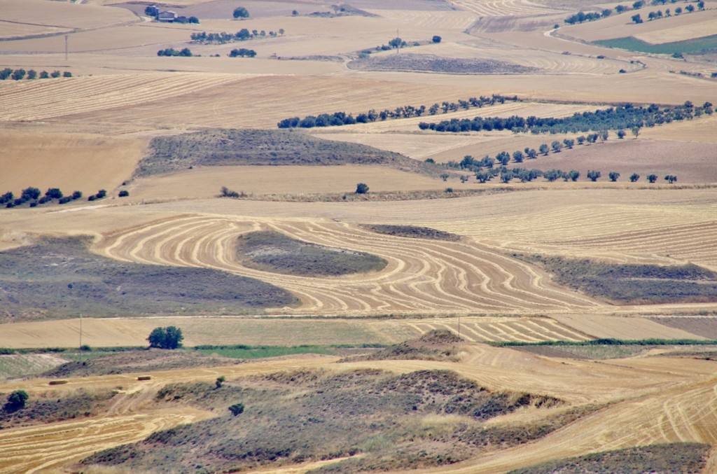 Foto: Paisaje - Hita (Guadalajara), España