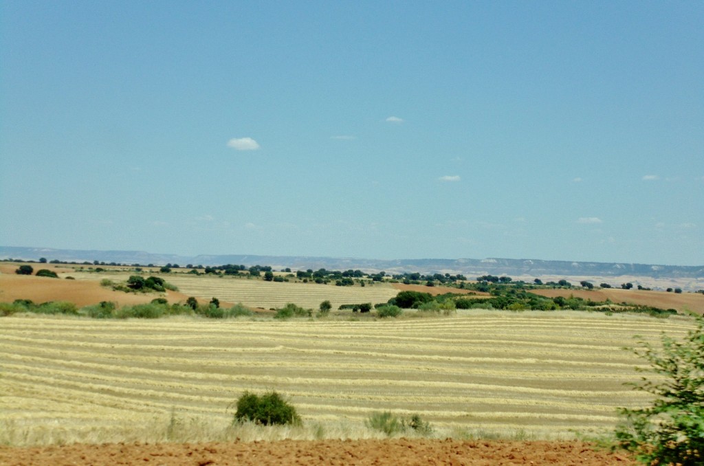 Foto: Paisaje - Hita (Guadalajara), España