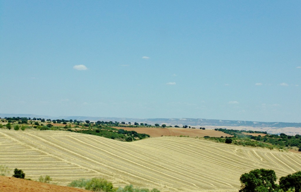 Foto: Paisaje - Hita (Guadalajara), España