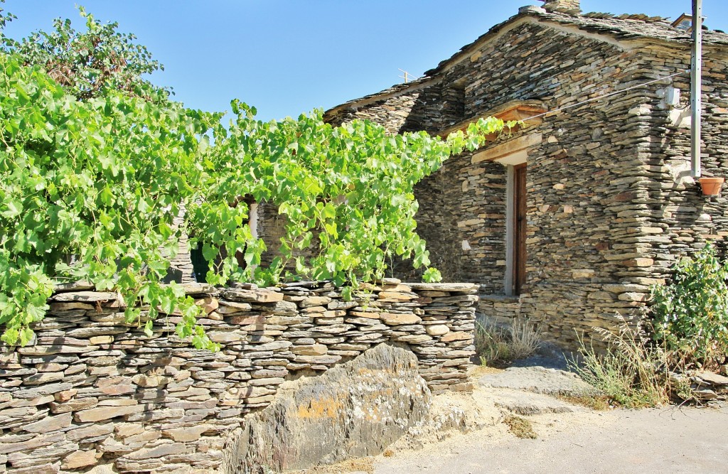 Foto: Vista del pueblo - Campillo de Ranas (Guadalajara), España