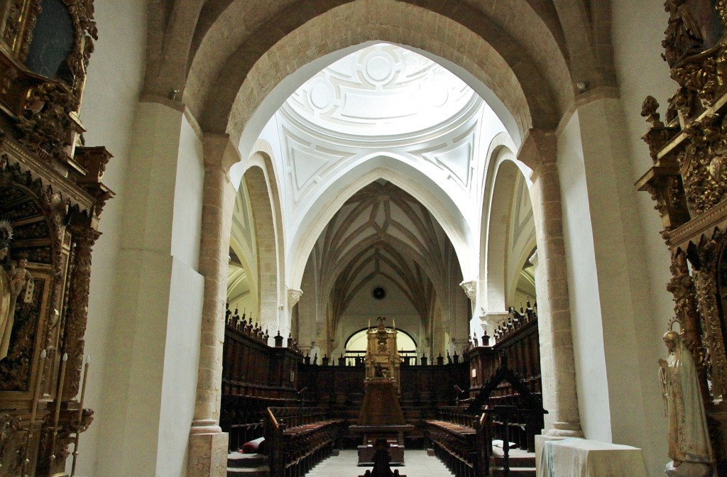 Foto: Colegiata - Pastrana (Guadalajara), España